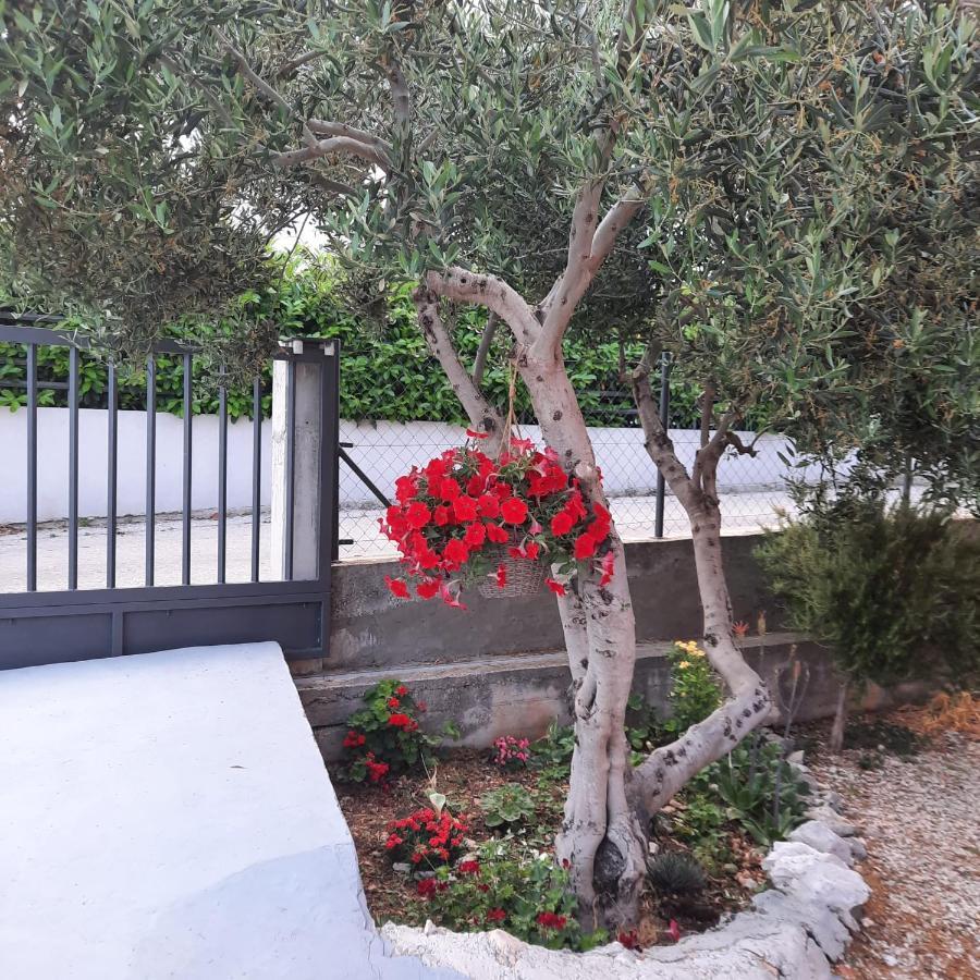 Studio Apartman Mare Trogir Exterior photo